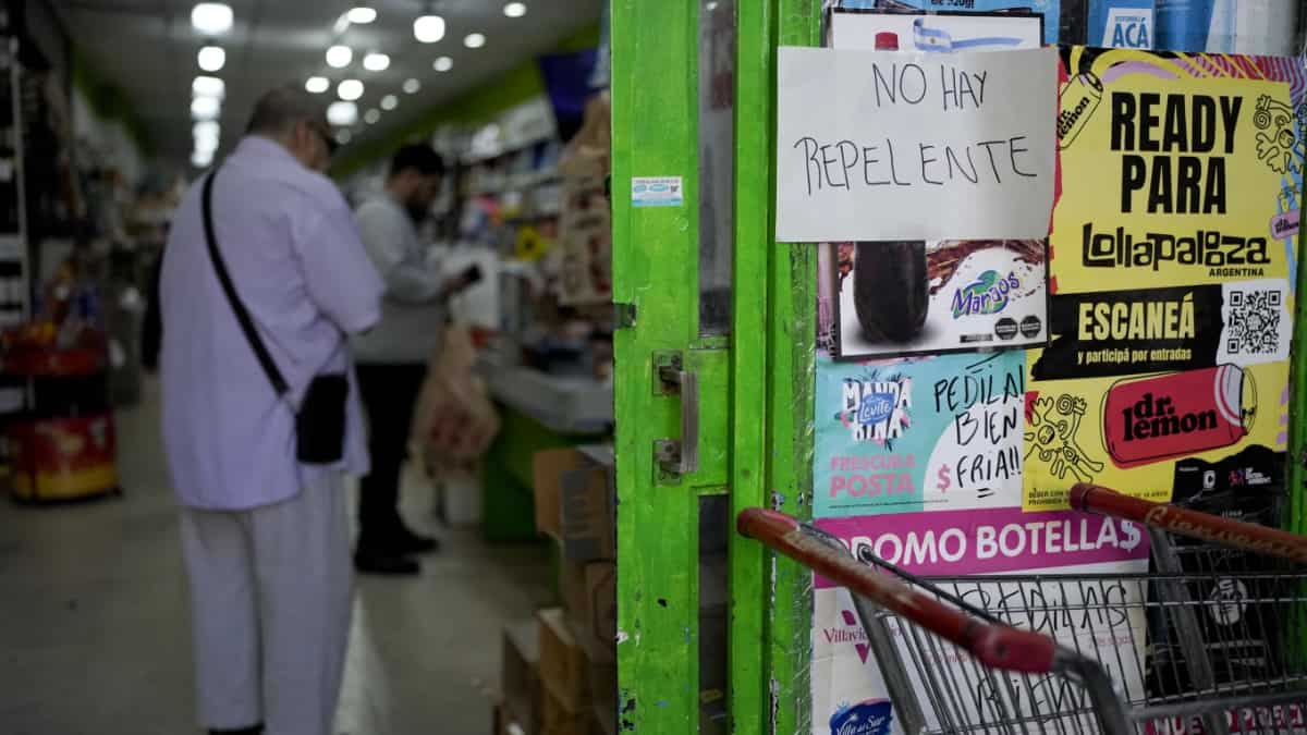 'No hay repelente': Dengue outbreak in Argentina leads to mosquito repellent shortage