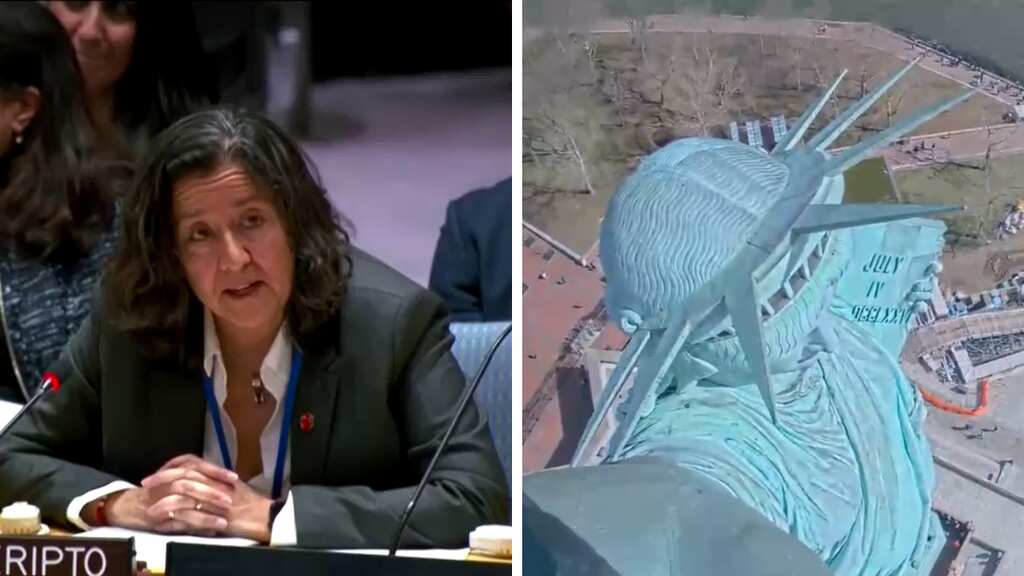 WATCH: UNSC meeting interrupted, Statue of Liberty shakes after rare earthquake rattles New York