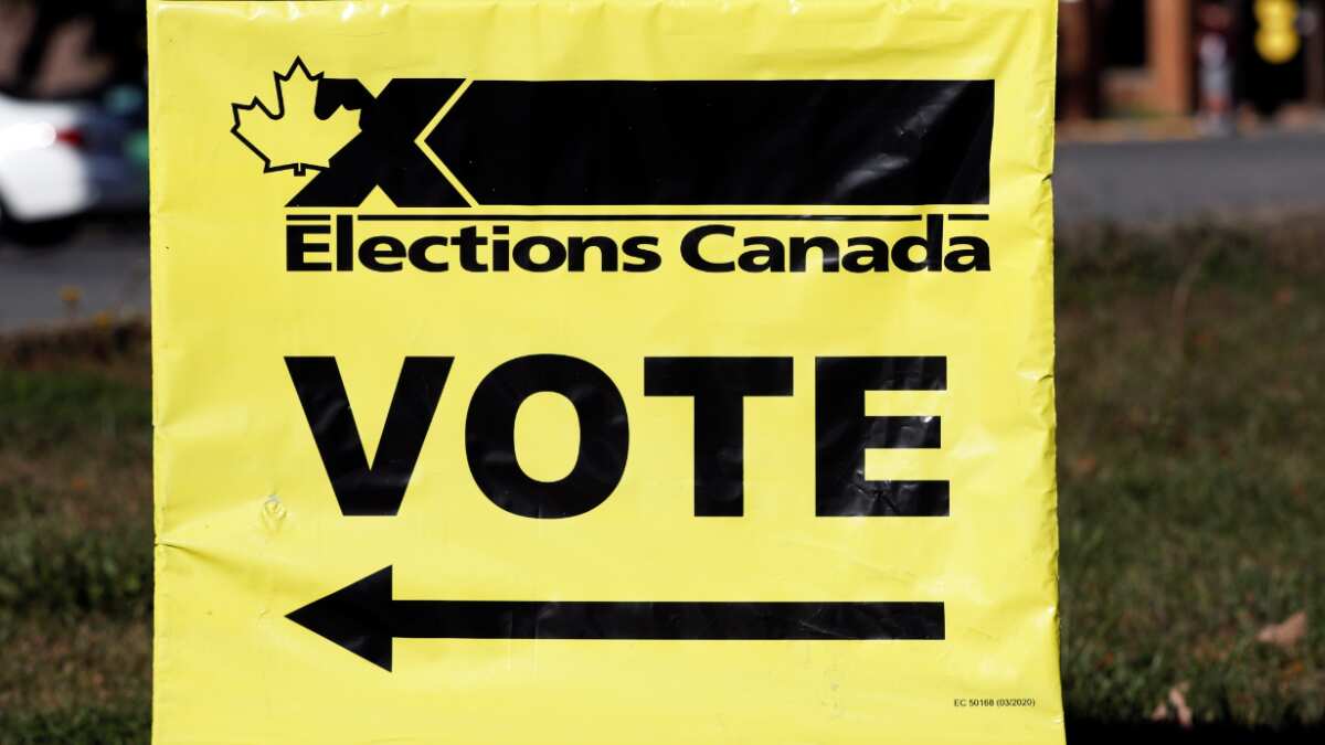 India, Pakistan attempted to interfere in Canada's federal elections: Report India, Pakistan attempted to interfere in Canada's federal elections: Report