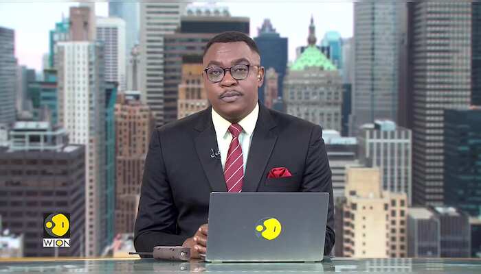 Israel-Gaza war: 6 months on | 33,137 civilians killed: Gaza Health Ministry