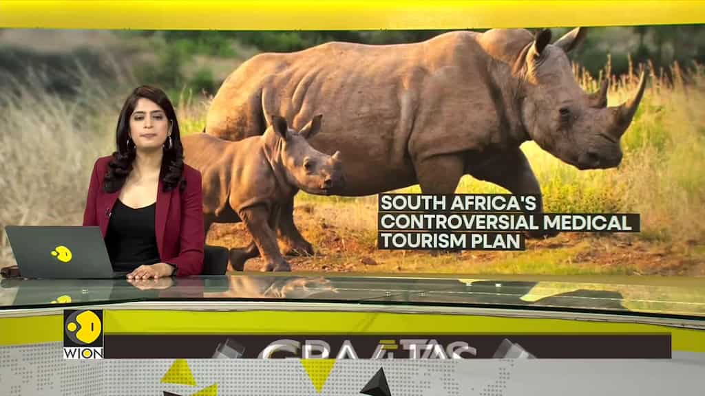 Gravitas: South Africa's new tourism plan has conservationists worried | Rhino horn for tourists?