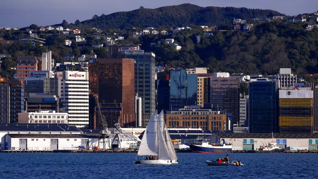 New Zealand makes changes to visa programme to combat 'unsustainable' migration