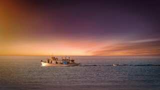 More than 90 dead after overcrowded vessel sinks off Mozambique coast