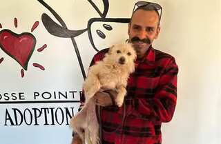 Watch: A heartwarming reunion as missing dog is found 2,000 miles away