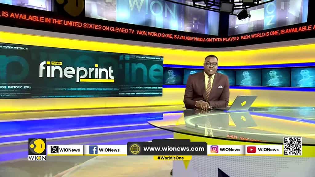 Istanbul airport provides anxious travelers with paw-sitive experience