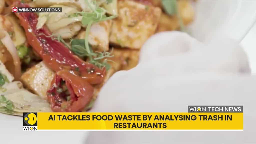 AI tackles food waste by analysing trash in restaurants