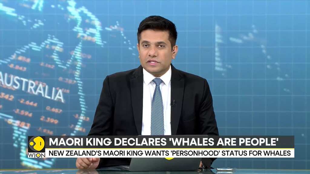 Maori king declares 'whales are people' and push for legal rights