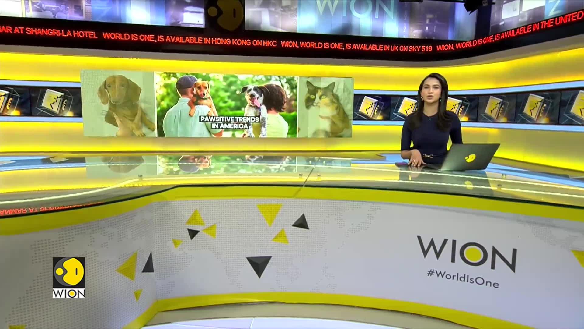 WionNews Video