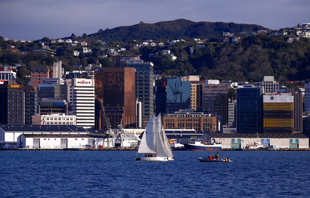 New Zealand economy faces risk of hard landing amid waning business confidence