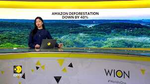 Deforestation in Brazil's Amazon down 40% in 2024
