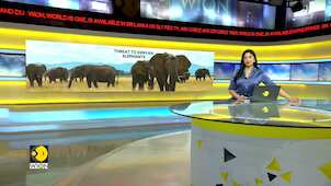 Kenya urges Tanzania to restrict trophy hunters