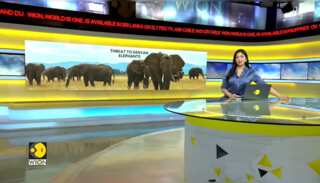 Kenya urges Tanzania to restrict trophy hunters