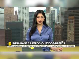 India: Karnataka High Court quashes centre's circular on banning of dog breeds