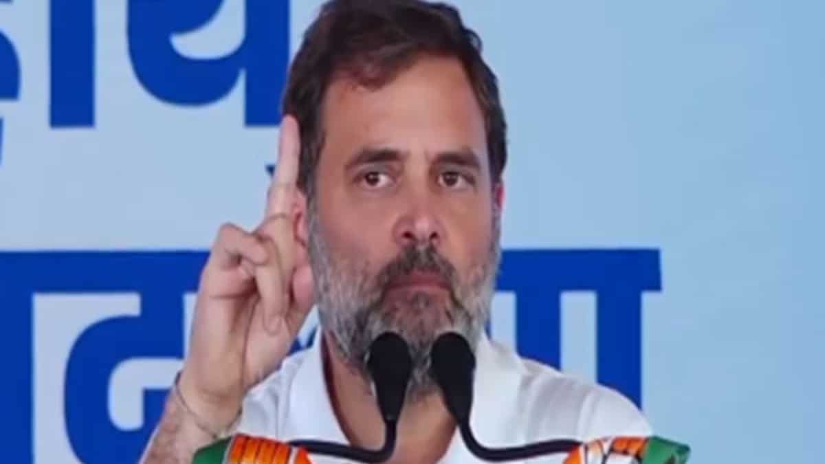 Lok Sabha Elections 2024 Complaint Questions Rahul Gandhi S Rae Bareli Nomination For Being Lok Sabha Elections 2024 Complaint Questions Rahul Gandhi S Rae Bareli Nomination For Being