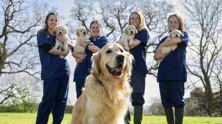 'Dogfather' of 300+ pups retires after bringing independence to visually challenged people all over Britain