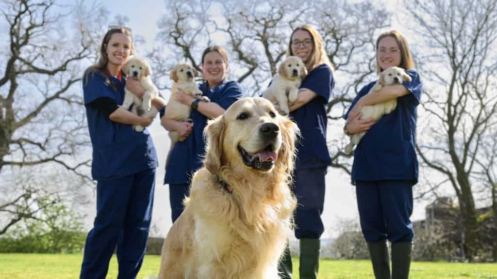 'Dogfather' of 300+ pups retires after bringing independence to visually challenged people all over Britain