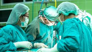 Historic milestone: Man receives world's first gene-edited pig liver transplant