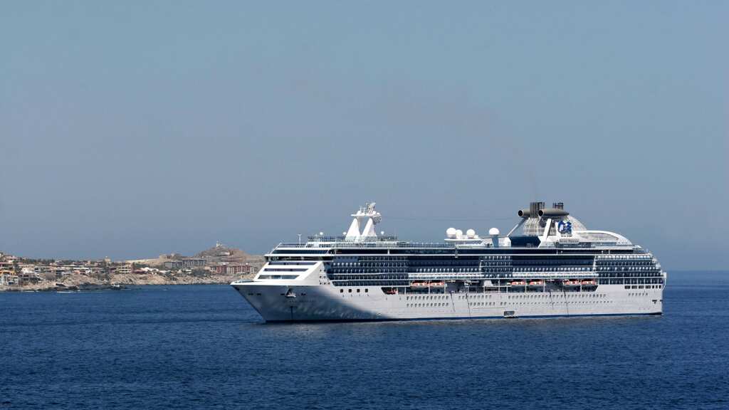 Father of Florida man who jumped from cruise ship believes his son is alive: Report