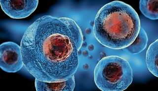 New study reveals that your body's cells age rapidly within a day