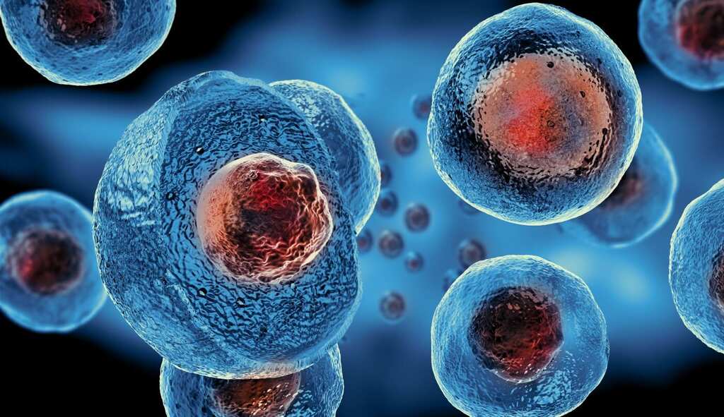 New study reveals that your body's cells age rapidly within a day