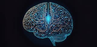 Japanese scientists develop technique to connect brain cells grown in lab