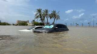 Ajman crown prince directs govt officials to work remotely amidst UAE's weather woes