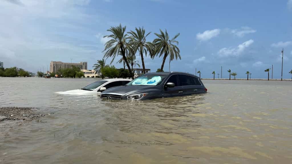 Ajman crown prince directs govt officials to work remotely amidst UAE's weather woes