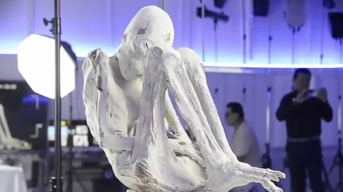 'Alien mummies' conference takes bizarre turn after a 'pregnant' alien