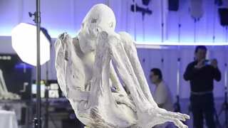 'Alien mummies' conference takes bizarre turn after a 'pregnant' alien is unveiled