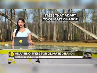 France grows trees for climate change, plants gain feature to resist diseases