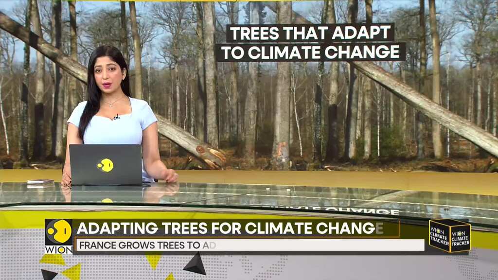 France grows trees for climate change, plants gain feature to resist diseases