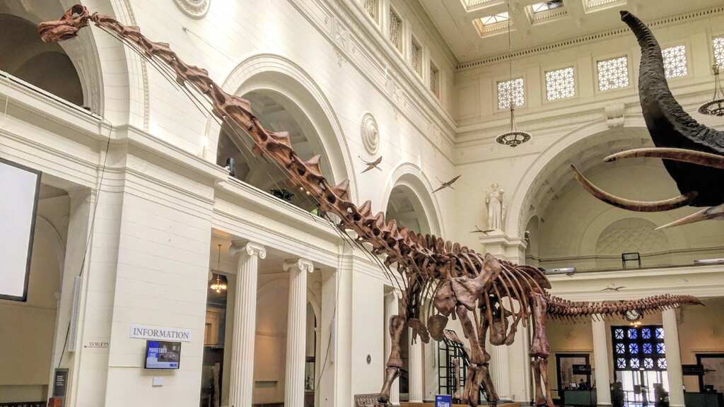 A 6-foot-tall dinosaur? Smallest-ever Titanosaurs to have walked the Earth discovered in Argentina