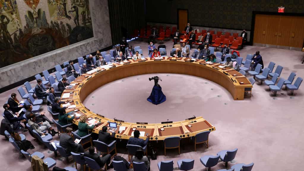 United States backs Elon Musk's call for permanent UNSC seat for India