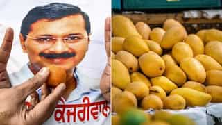 Mangoes and more: ED claims Arvind Kejriwal deliberately consuming sweets for THIS reason