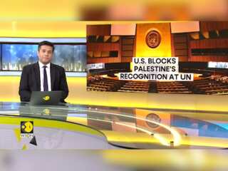 Palestine's recognition at the UN blocked by US' veto
