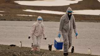 WHO raises alarm over human cases of bird flu, calls it 'enormous concern'