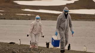 WHO raises alarm over human cases of bird flu, calls it 'enormous concern'