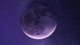 Alien life may be hiding in purple hue of universe: Scientists