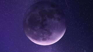 Alien life may be hiding in purple hue of universe: Scientists