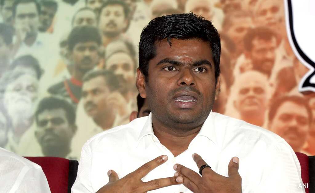‘Names of 100,000 voters missing:’ Tamil Nadu BJP chief K Annamalai demands re-polling in some seats