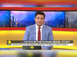 Study finds evidence of microplastics inside human body