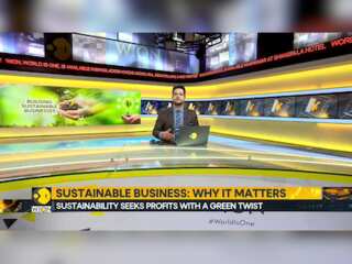 Firms look to meet demand for eco-friendly products