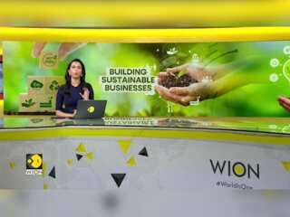 Sustainable Business: Firms look to meet demand for eco-friendly products