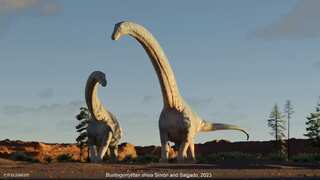 Megatitanosaur 'Shiva the destroyer' discovered in Argentina. This is what it looked like. Watch!