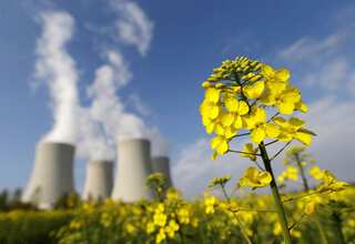 Green growth: Navigating sustainability costs for a thriving future
