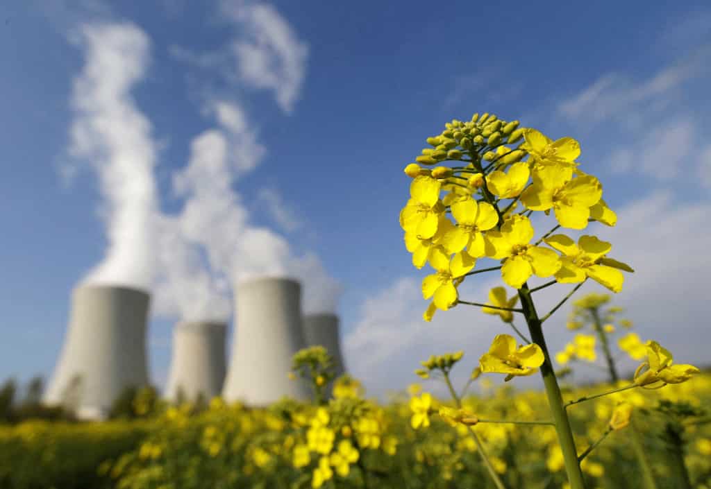 Green growth: Navigating sustainability costs for a thriving future