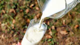 FDA traces fragments of bird flu virus in pasteurised milk, detailed report awaited