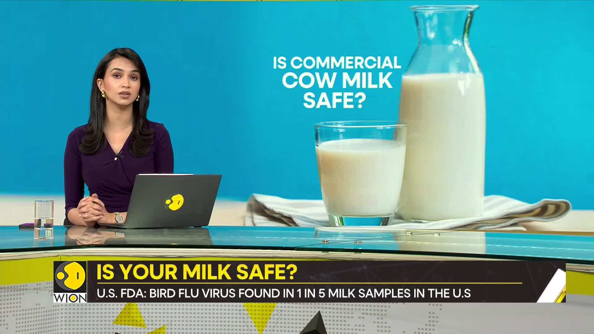 Gravitas US Bird Flu virus found in pasteurized milk, probe results