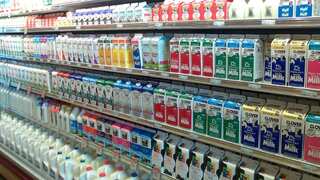 Pasteurised milk safe from bird flu: US health officials