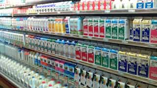 Pasteurised milk safe from bird flu: US health officials